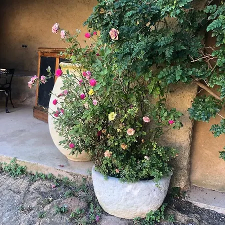 Maisonette Palazzu * Pigna