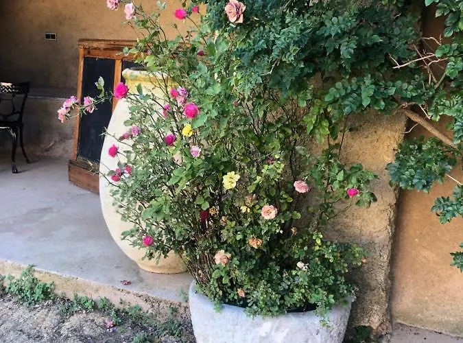 Maisonette Palazzu * Pigna